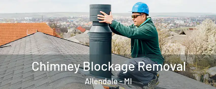  Chimney Blockage Removal Allendale - MI
