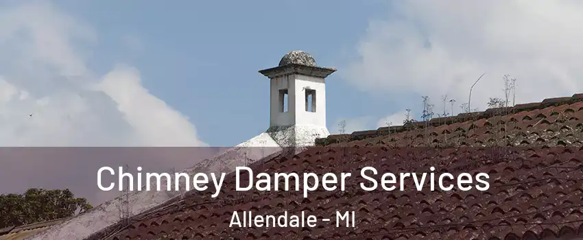  Chimney Damper Services Allendale - MI