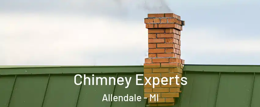 Chimney Experts Allendale - MI