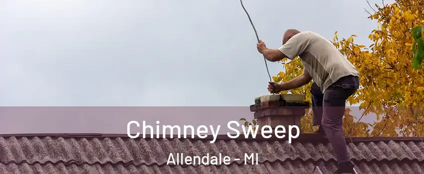  Chimney Sweep Allendale - MI