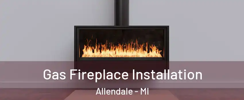  Gas Fireplace Installation Allendale - MI