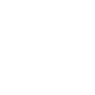 Professional Chimney Flue Installation in Allendale, Michigan
