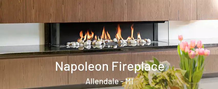  Napoleon Fireplace Allendale - MI